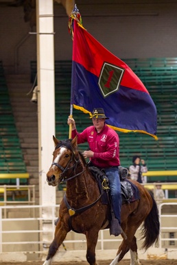 U.S. Army Horse Detachments Ride to Victory at Horse Expo