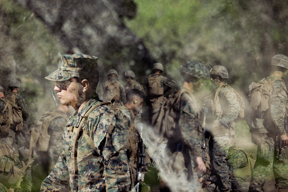 Marines take on live-fire, maneuver range during final week of IMC