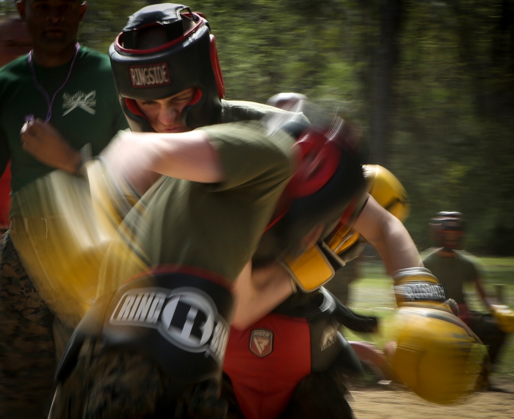 Alpha Company Body Sparring