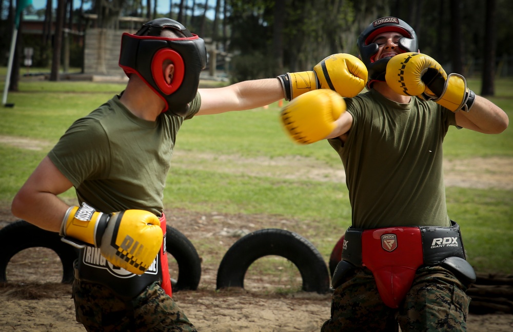 Alpha Company Body Sparring