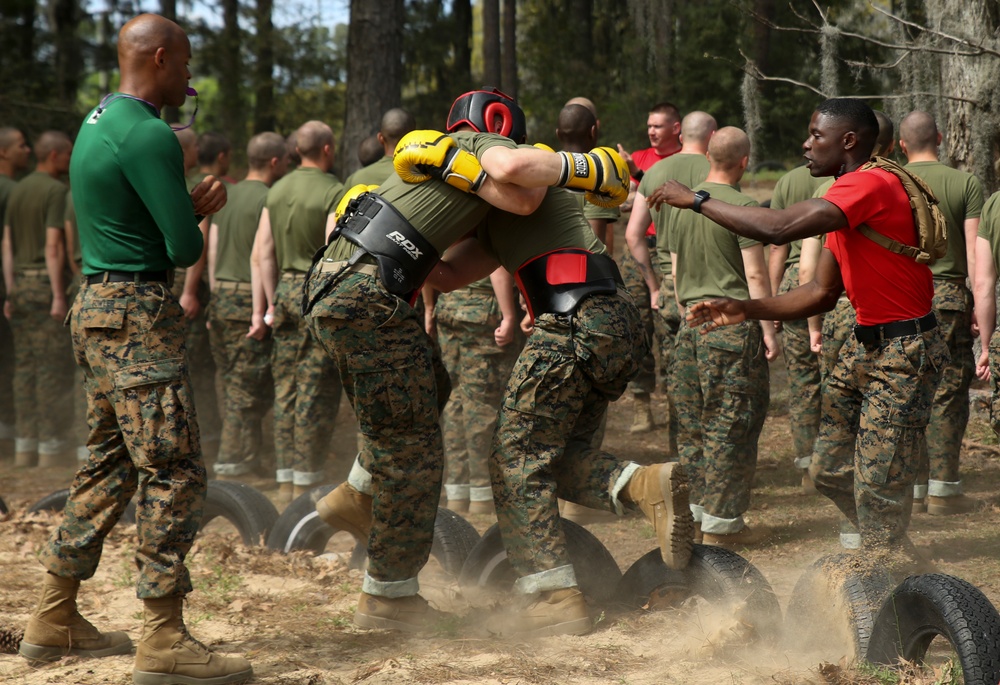 Alpha Company Body Sparring