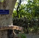 Task Force Ghost, Royal Thai Army attend Jungle Warfare Training during Cobra Gold 23