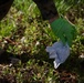 H&amp;S Battalion conducts a base clean-up on MCB Camp Lejeune