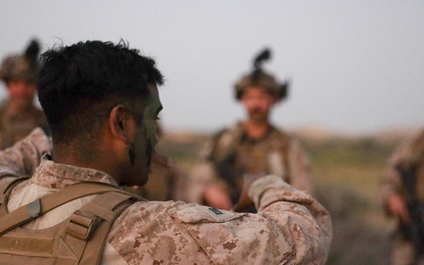 U.S. Marines with 3rd ANGLICO FINEX during Intrepid Maven