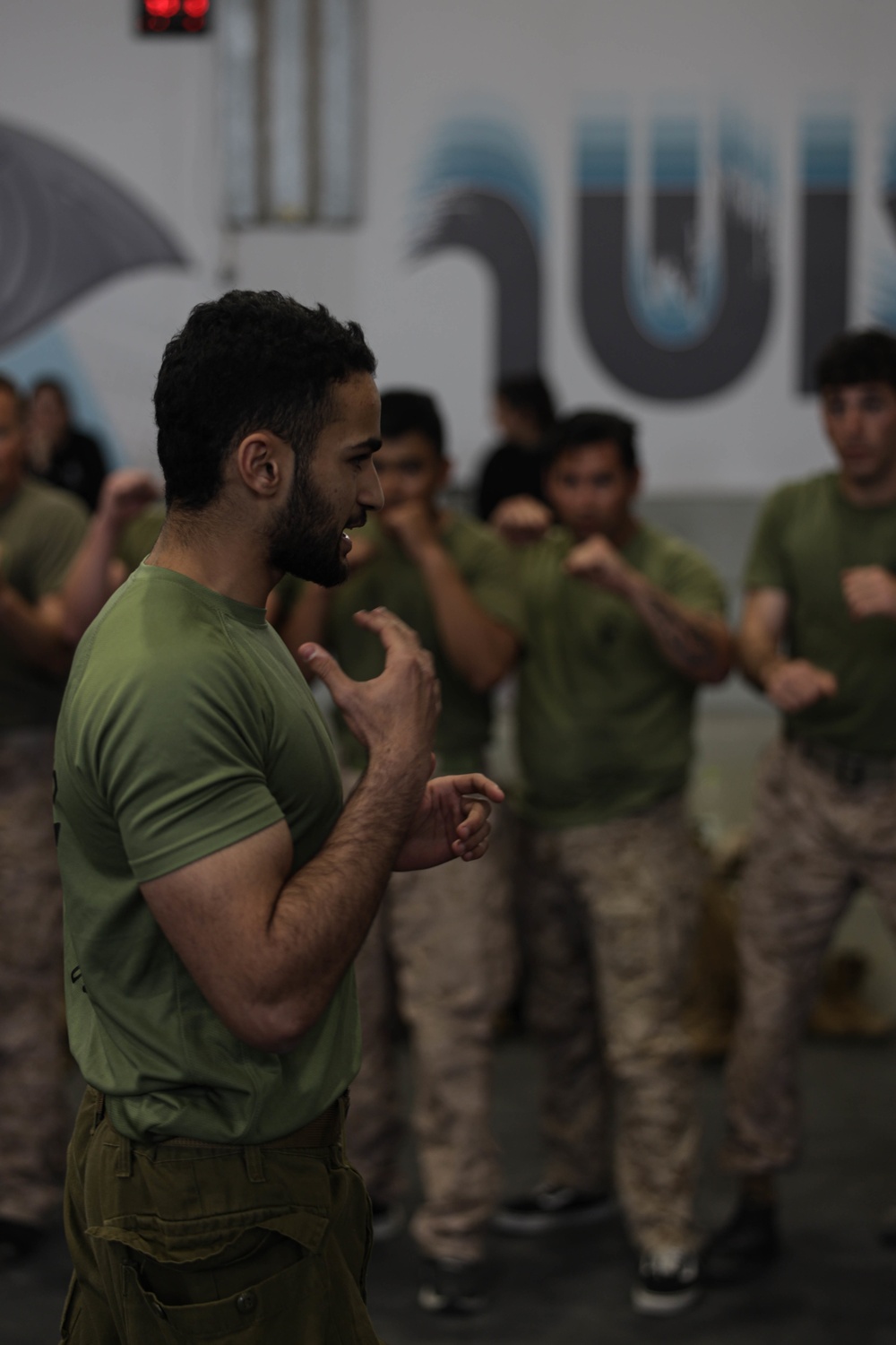 U.S. Marines with 3rd ANGLICO conduct Krav Maga during Intrepid Maven