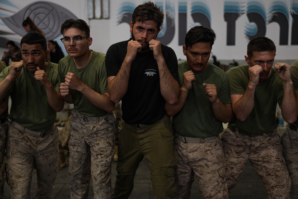 U.S. Marines with 3rd ANGLICO conduct Krav Maga During Intrepid Maven