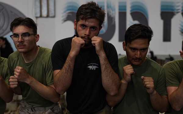 U.S. Marines with 3rd ANGLICO conduct Krav Maga During Intrepid Maven