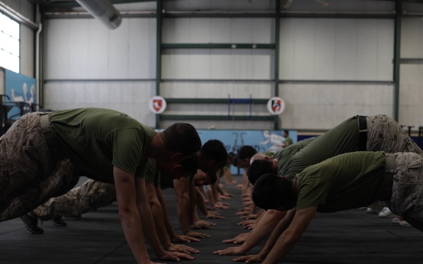 U.S. Marines with 3rd ANGLICO conduct Krav Maga during Intrepid Maven