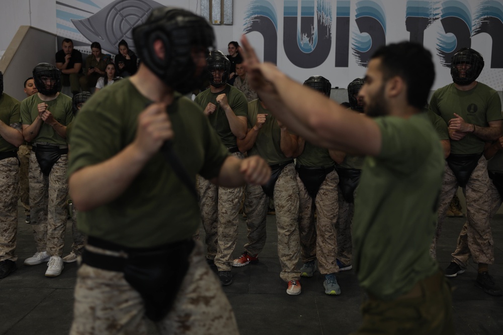 U.S. Marines with 3rd ANGLICO conduct Krav Maga during Intrepid Maven