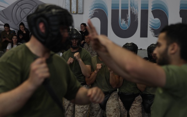 U.S. Marines with 3rd ANGLICO conduct Krav Maga during Intrepid Maven