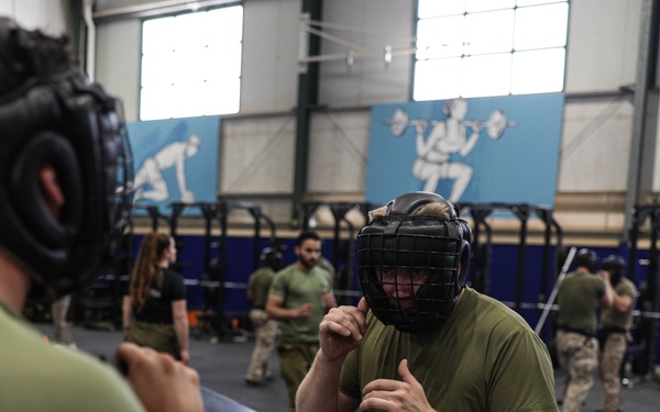 U.S. Marines with 3rd ANGLICO conduct Krav Maga during Intrepid Maven