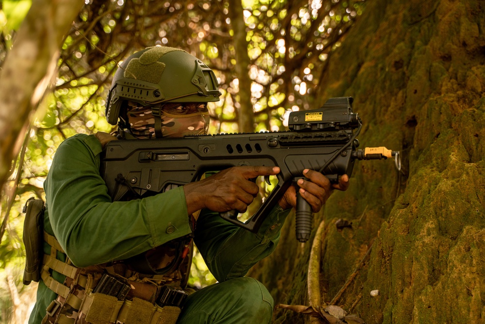 Côte d'Ivoire, Netherlands conduct rural tactical training