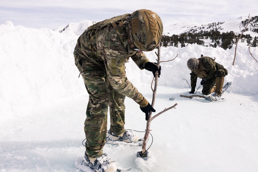 Using explosives, Mountain Engineers Course triggers intentional avalanche