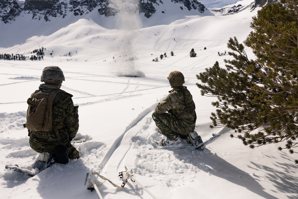 Using explosives, Mountain Engineers Course triggers intentional avalanche