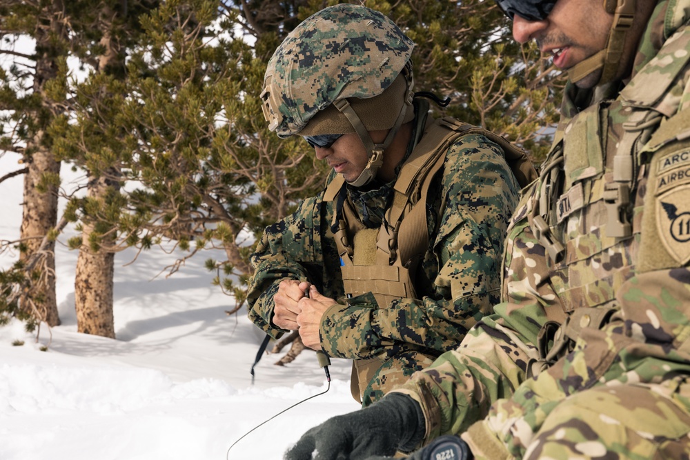 Using explosives, Mountain Engineers Course triggers intentional avalanche