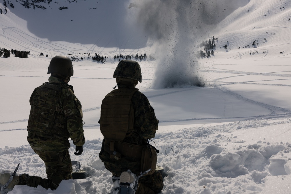 Using explosives, Mountain Engineers Course triggers intentional avalanche