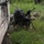 2-35, 3IBCT, 25th ID Squad Live Fire