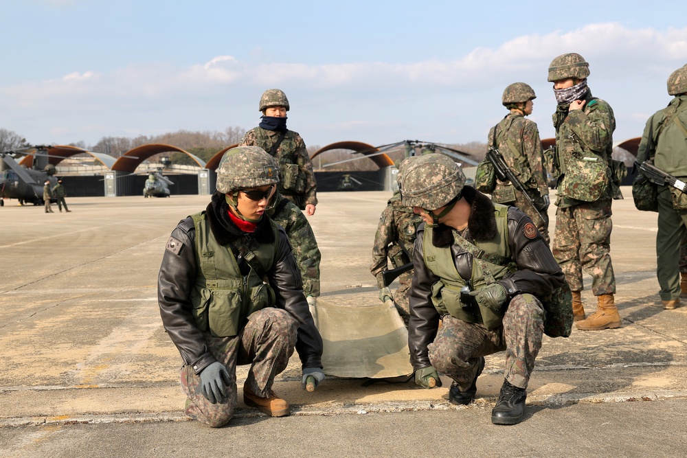 Combined Casualty Evacuation and Downed Aircraft Recovery Training