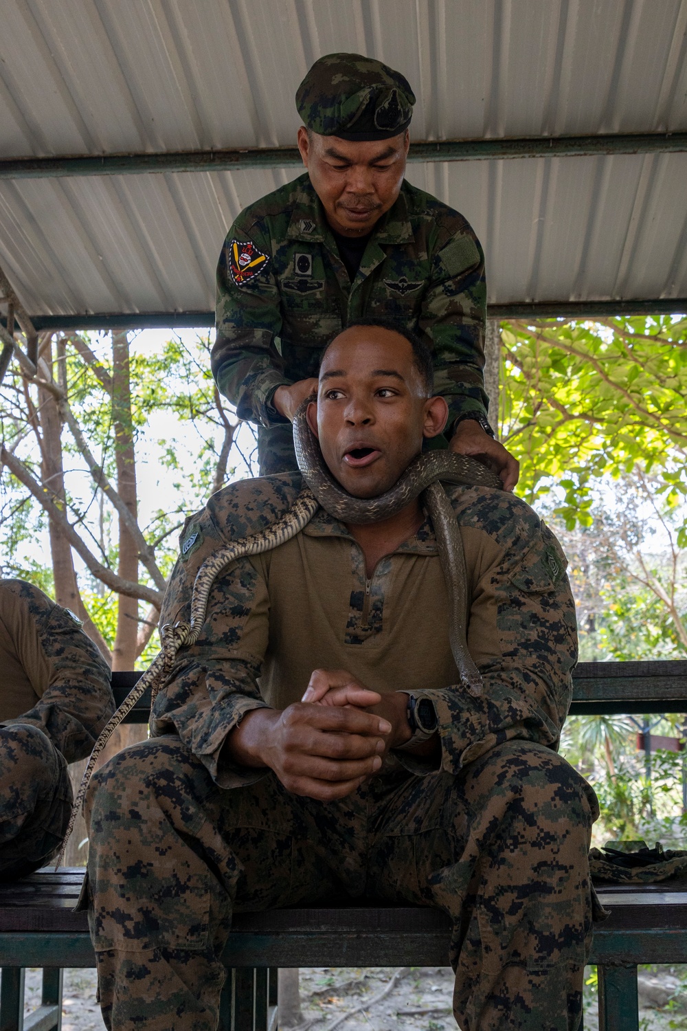 Battalion Landing Team 2/4 Cobra Gold 23 conducts Jungle Survival Training