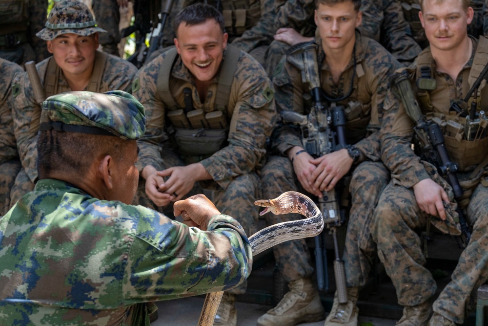 Battalion Landing Team 2/4 Cobra Gold 23 conducts Jungle Survival Training