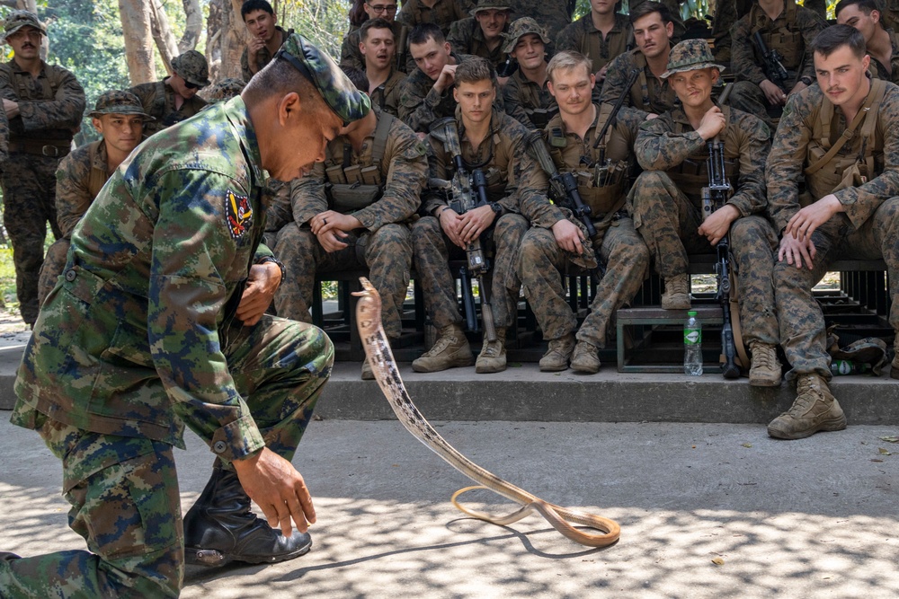 Battalion Landing Team 2/4 Cobra Gold 23 conducts Jungle Survival Training