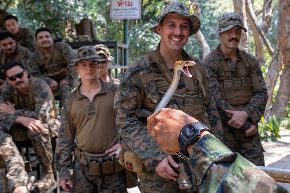 Battalion Landing Team 2/4 Cobra Gold 23 conducts Jungle Survival Training