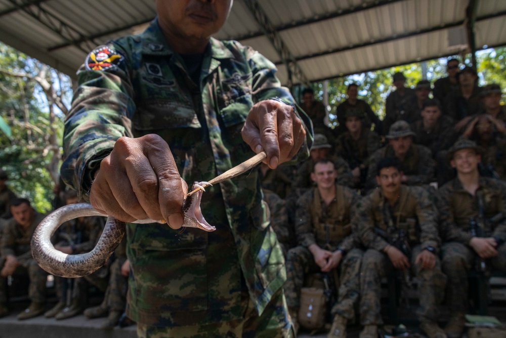 Battalion Landing Team 2/4 Cobra Gold 23 conducts Jungle Survival Training