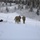 11th Airborne Tests Army's Newest Extreme Cold Weather Gear 11th Airborne Tests Army's Newest Extreme Cold Weather Gear
