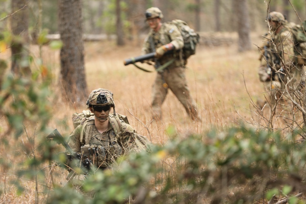 Soldiers with 2BCT of the 10th Mountain Division are moved by helicopter for JRTC