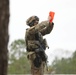 Soldiers with 2BCT of the 10th Mountain Division are moved by helicopter for JRTC