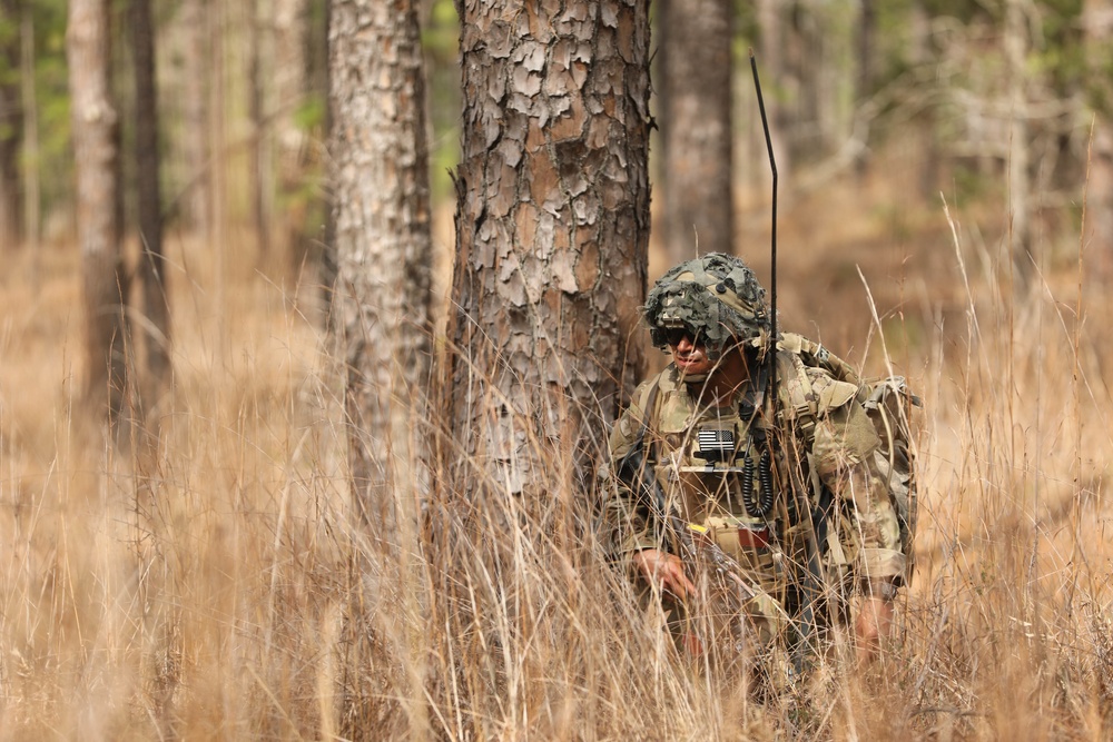 Soldiers with 2BCT of the 10th Mountain Division are moved by helicopter for JRTC