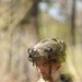 Soldiers from the 2BCT face off with Geronimo in an intense battle at JRTC