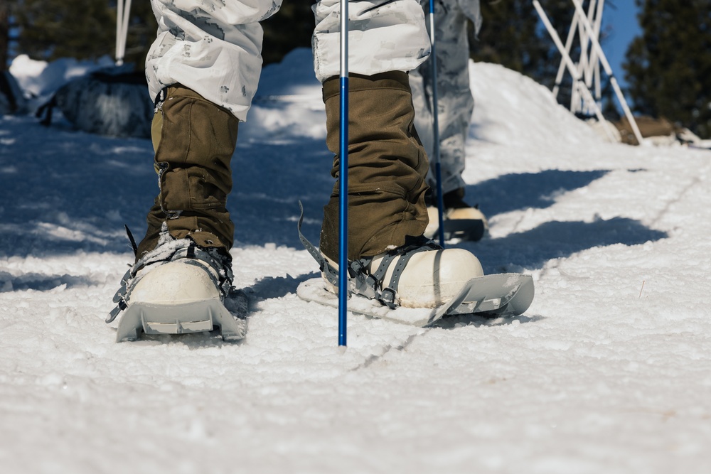 Marines learn to operate and survive in cold mountainous environments at MCMWTC