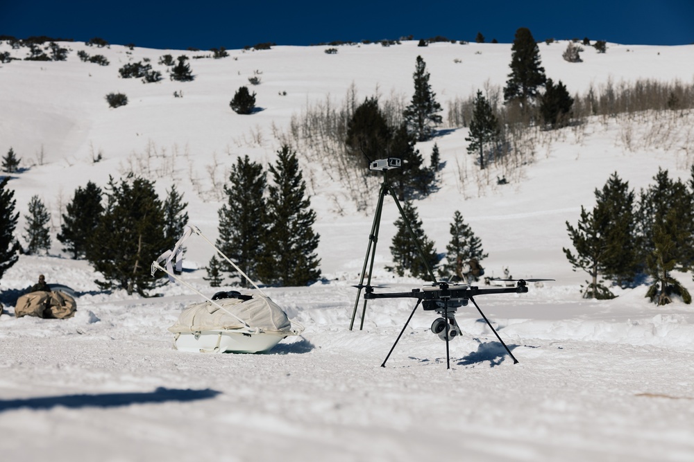 Marines learn to operate and survive in cold mountainous environments at MCMWTC