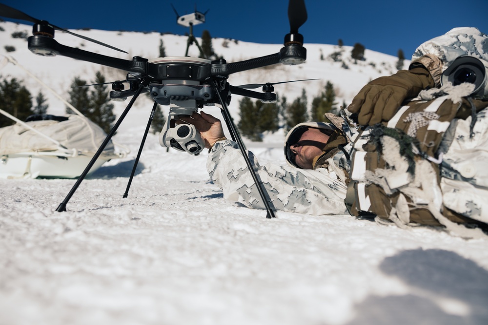 Marines learn to operate and survive in cold mountainous environments at MCMWTC