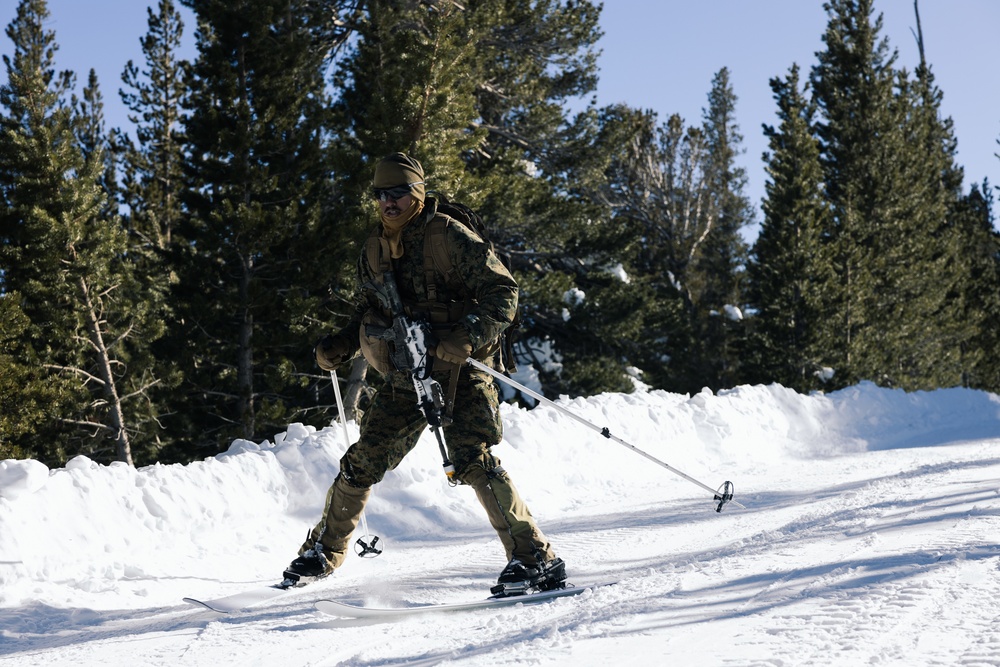 Marines learn to operate and survive in cold mountainous environments at MCMWTC