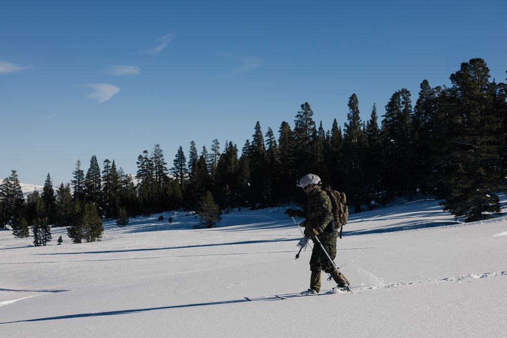 Marines learn to operate and survive in cold mountainous environments at MCMWTC