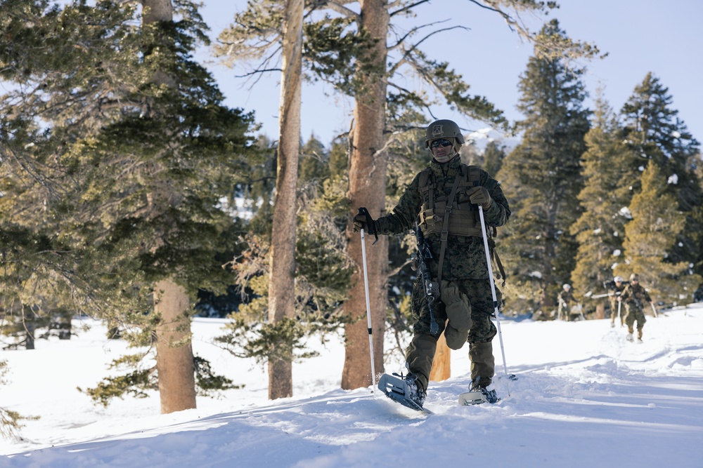 Marines learn to operate and survive in cold mountainous environments at MCMWTC