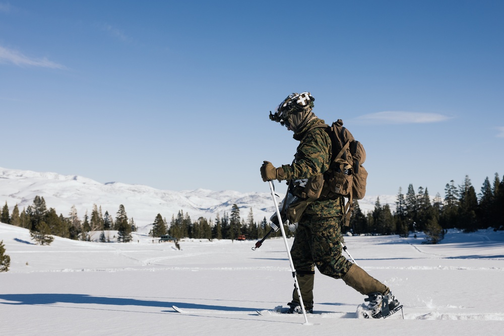 Marines learn to operate and survive in cold mountainous environments at MCMWTC