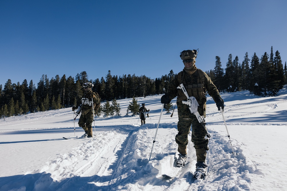 Marines learn to operate and survive in cold mountainous environments at MCMWTC