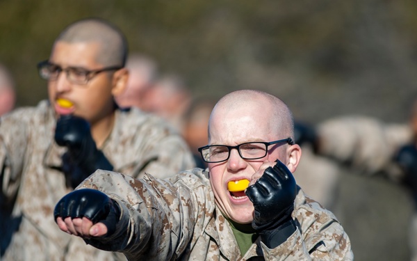 Golf Company MCMAP Test