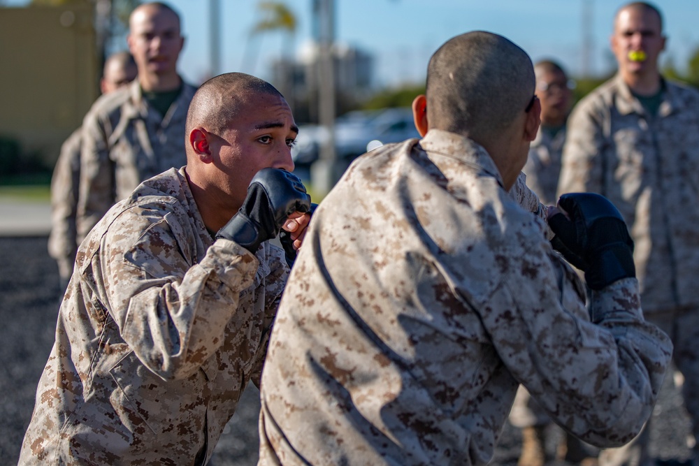 Golf Company MCMAP Test