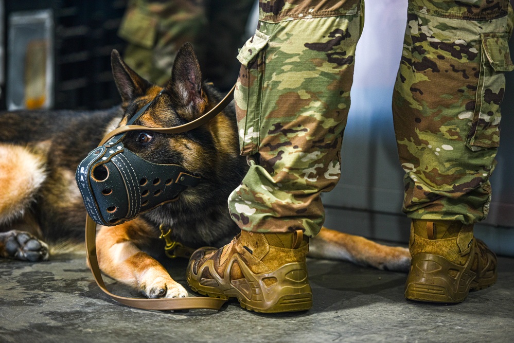 Joint Base Readiness Exercise