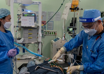 U.S. and ROK Medical train for trauma