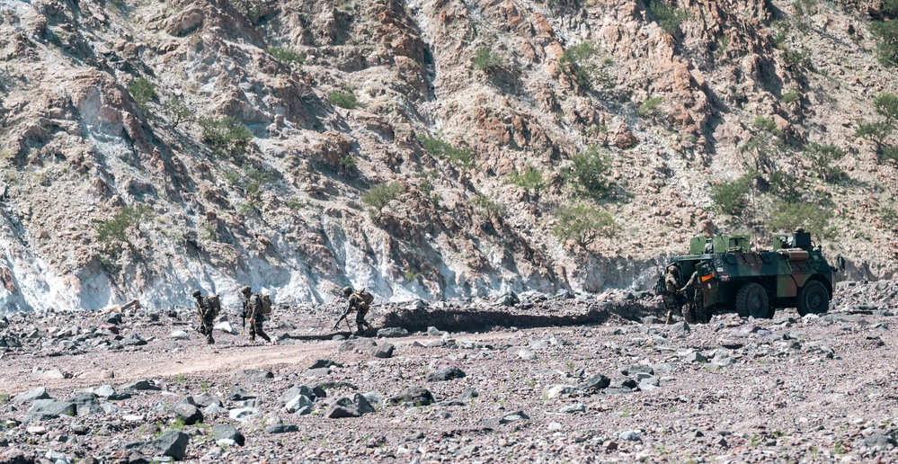 TFWH soldiers join French Forces in Exercise WAKRI 23