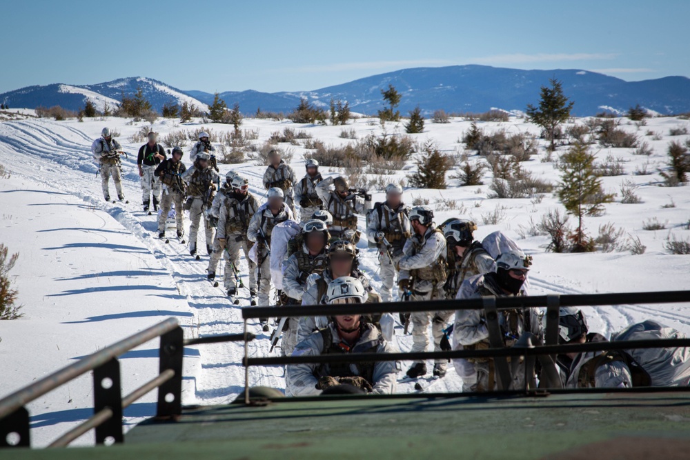 Soldiers practice skijoring while being pulled by a Beowulf during cold weather training in Montana.