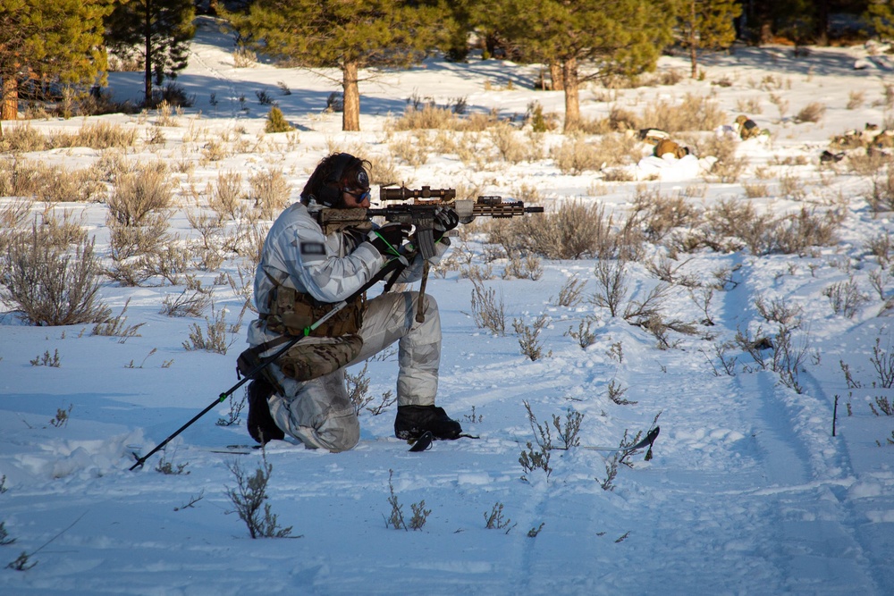 Cold Weather Training