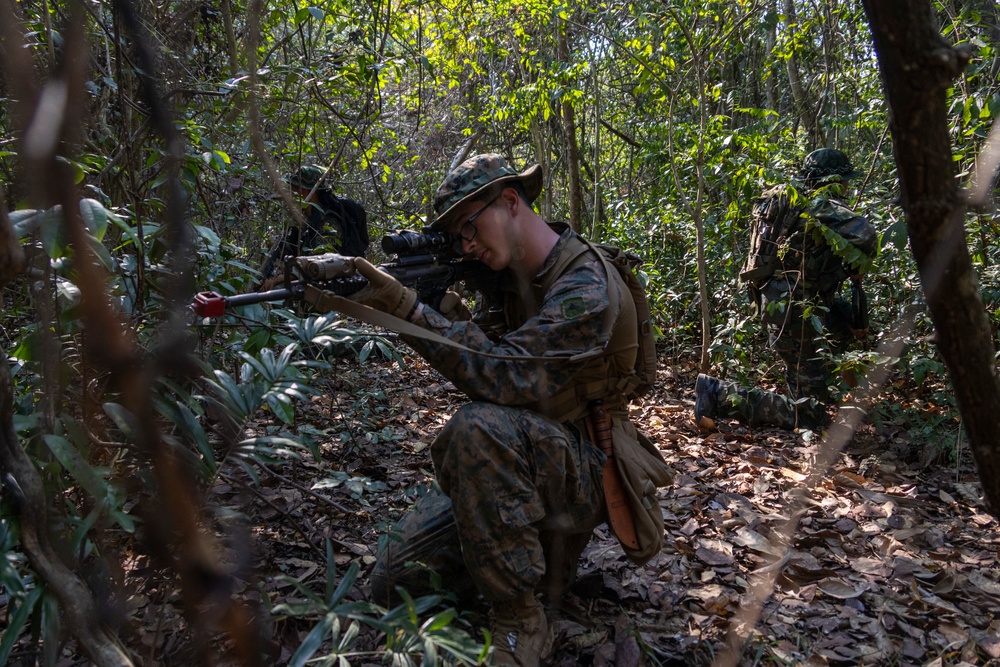 13th MEU Cobra Gold 23 Battalion Landing Team Jungle Patrol