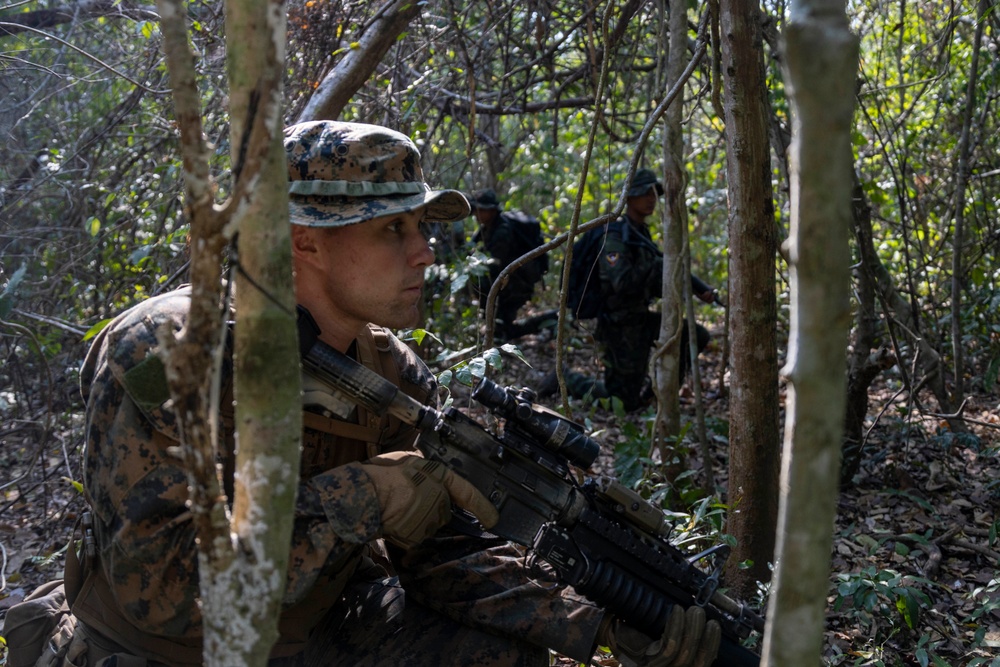 13th MEU Cobra Gold 23 Battalion Landing Team Jungle Patrol