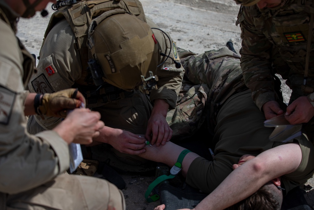 Combined Joint Task Force – Operation Inherent Resolve, Task force Reaper and Norwegian Engineer Battalion Respond to  Medical Exercise